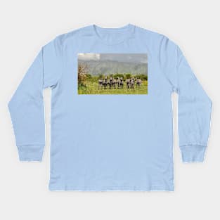 The zebras-amazing picture Kids Long Sleeve T-Shirt